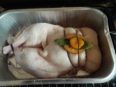 The duck came in a foil tray, which I wanted to use, but I didn't want the duck swimming in fat.